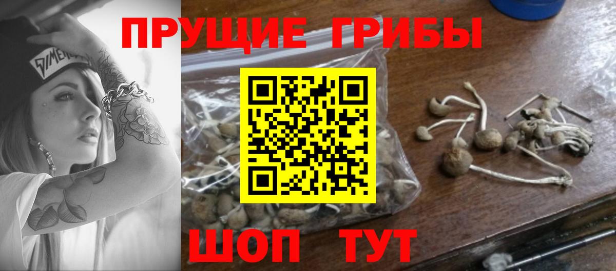 Клин  Псилоцибиновые грибы ЛСД  Вход с VPN 